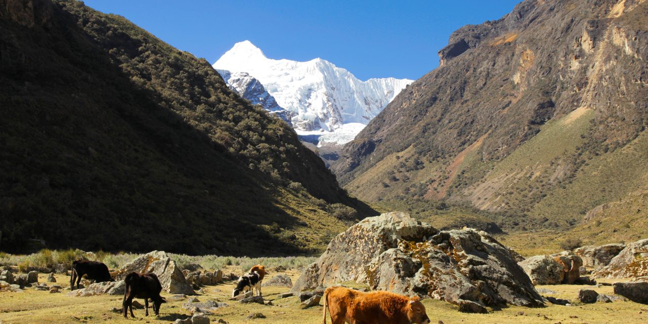 Quillcayhuanca Trek