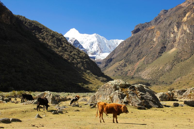 Quillcayhuanca Trek